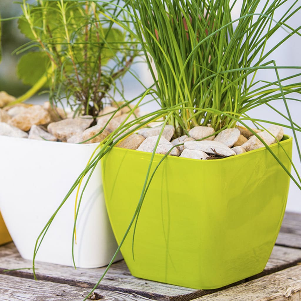 Plantas-Faitful-Macetas-Plasticas-TA-Premium-Cuadrada-1