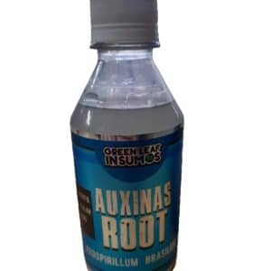 AUXINAS ROOT X 250 CM