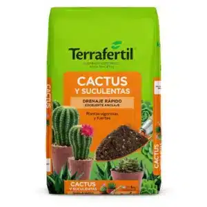 CACTUS X 5 LTS X 6 UN
