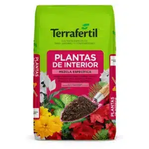 PLANTAS DE INTERIOR